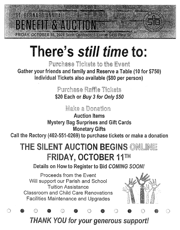 SB Benefit & Auction Flyer